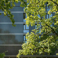 Tempio Listelos+ Tiles